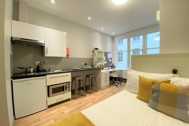 1 bed studio, College Square East, Holylands, Belfast, BT16DJ - Image 6
